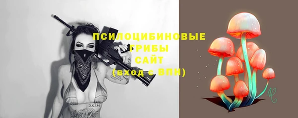 mix Белокуриха