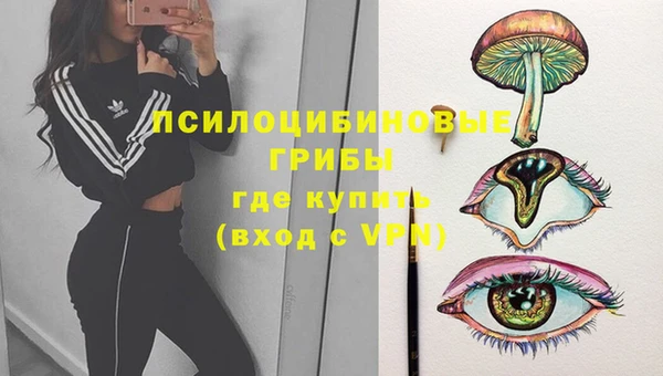 твердый Балахна