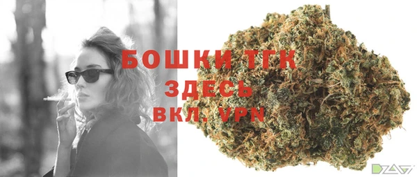 ГАЛЛЮЦИНОГЕННЫЕ ГРИБЫ Баксан